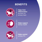 Load image into Gallery viewer, Cat health benefits on a purple background with icons and text.