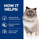 Load image into Gallery viewer, Cat with text on how it helps, on a blue and white background