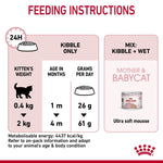 Load image into Gallery viewer, Feeding instructions for kittens with a diagram and text on a white background