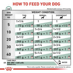 Load image into Gallery viewer, Feeding chart for dogs showing recommended food amounts based on weight and condition.