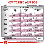Load image into Gallery viewer, Feeding chart for dogs showing recommended daily feed amounts based on weight and body condition.