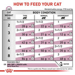 Load image into Gallery viewer, Feeding chart for cats with weight and body condition guidelines.