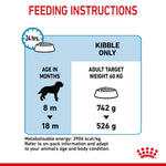 Load image into Gallery viewer, Feeding instructions for a pet food product with a blue and red design.
