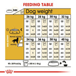 Load image into Gallery viewer, Feeding table chart for dogs with weight and activity level guidelines.