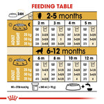 Load image into Gallery viewer, Feeding chart for puppies with measurements and adult weight conversions.