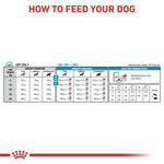 Load image into Gallery viewer, Dog food feeding chart with weight and condition guidelines on a white background