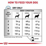 Load image into Gallery viewer, Dog food feeding chart for different body conditions and weights