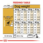 Load image into Gallery viewer, Feeding table chart for dogs with weight and activity level guidelines.