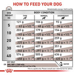 Load image into Gallery viewer, Feeding guide for dogs with weight and body condition categories