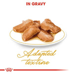 Load image into Gallery viewer, Dog food in gravy on a white plate with text indicating 'Adapted texture'.