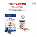 Load image into Gallery viewer, Royal Canin dog food packaging with text on an optimal feeding experience.