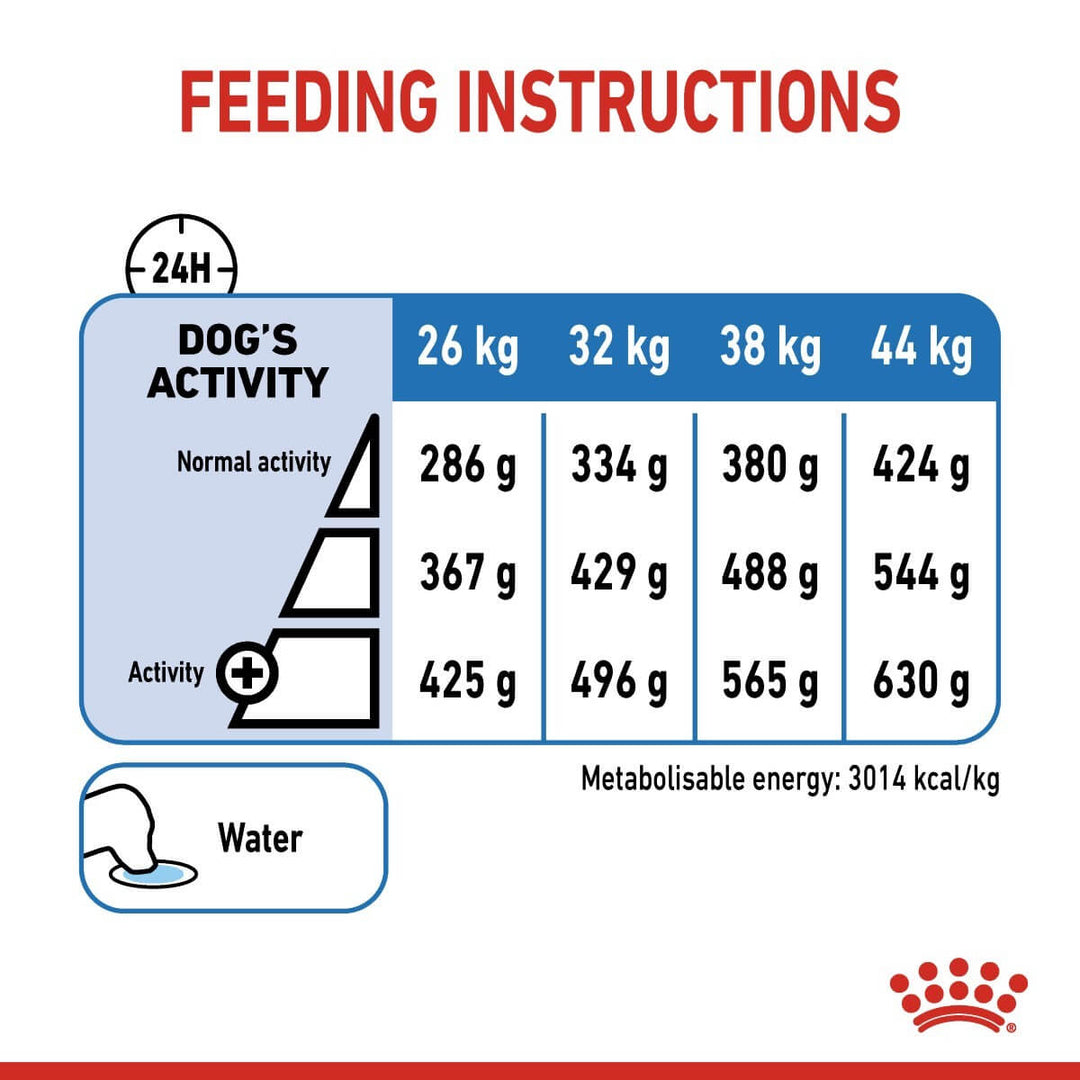 Feeding instructions for a dog with weight and activity levels on a label.