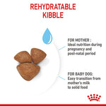 Load image into Gallery viewer, Rehydratable kibble for mother and baby dog with text on a white background
