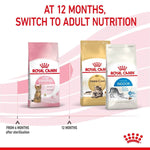 Load image into Gallery viewer, Royal Canin cat food packages with text indicating switching to adult nutrition at 12 months.