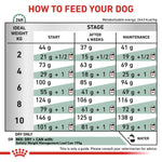 Load image into Gallery viewer, Feeding chart for dogs with recommended amounts of food to be given at different stages.