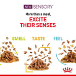 Load image into Gallery viewer, Advertisement for Sensory pet food with text 'More than a meal, Excite Their Senses' and visual elements of pet food.