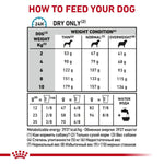 Load image into Gallery viewer, Dog food feeding chart for dry food only, showing recommended daily feed amounts based on dog weight and condition.