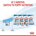 Load image into Gallery viewer, Royal Canin puppy nutrition transition chart with product packaging and text.