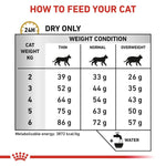 Load image into Gallery viewer, Feeding chart for cats with weight and size guidelines on a white background