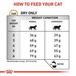 Load image into Gallery viewer, Cat food feeding chart for dry food only, showing recommended daily dry food amounts based on cat weight and condition.
