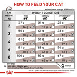 Load image into Gallery viewer, Cat food feeding chart指导如何喂养您的猫