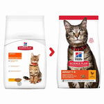 Load image into Gallery viewer, Balanced chicken cat kibble