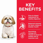 Load image into Gallery viewer, Senior small dog food chicken