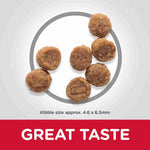 Load image into Gallery viewer, Dry food for mini breed pups