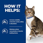 Load image into Gallery viewer, Cat wearing a blue collar with text about struvite crystals on a white background