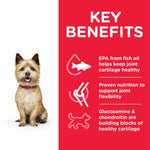 Load image into Gallery viewer, Hill's dry food for mini dogs