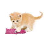 Load image into Gallery viewer, Kitten playing with a pink catnip toy on a white background