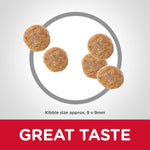 Load image into Gallery viewer, Dog kibble with a circle highlighting its size and 'Great Taste' text on a gray background