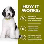 Load image into Gallery viewer, Dog with text explaining how a product works to lower bladder stone concentration.
