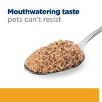 Load image into Gallery viewer, Spoonful of pet food with text 'Mouthwatering taste pets can't resist' on a white background