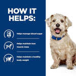 Load image into Gallery viewer, Dog with a blue collar on a white background, next to text about how it helps manage blood sugar, maintain lean muscle mass, and healthy body weight.