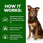 Load image into Gallery viewer, Dog wearing a green collar with weight loss product information on a green and white background