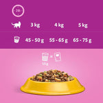 Load image into Gallery viewer, Whiskas dry cat food 7 plus uk