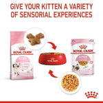 Load image into Gallery viewer, Royal Canin kitten food products with text on a white background to alifant