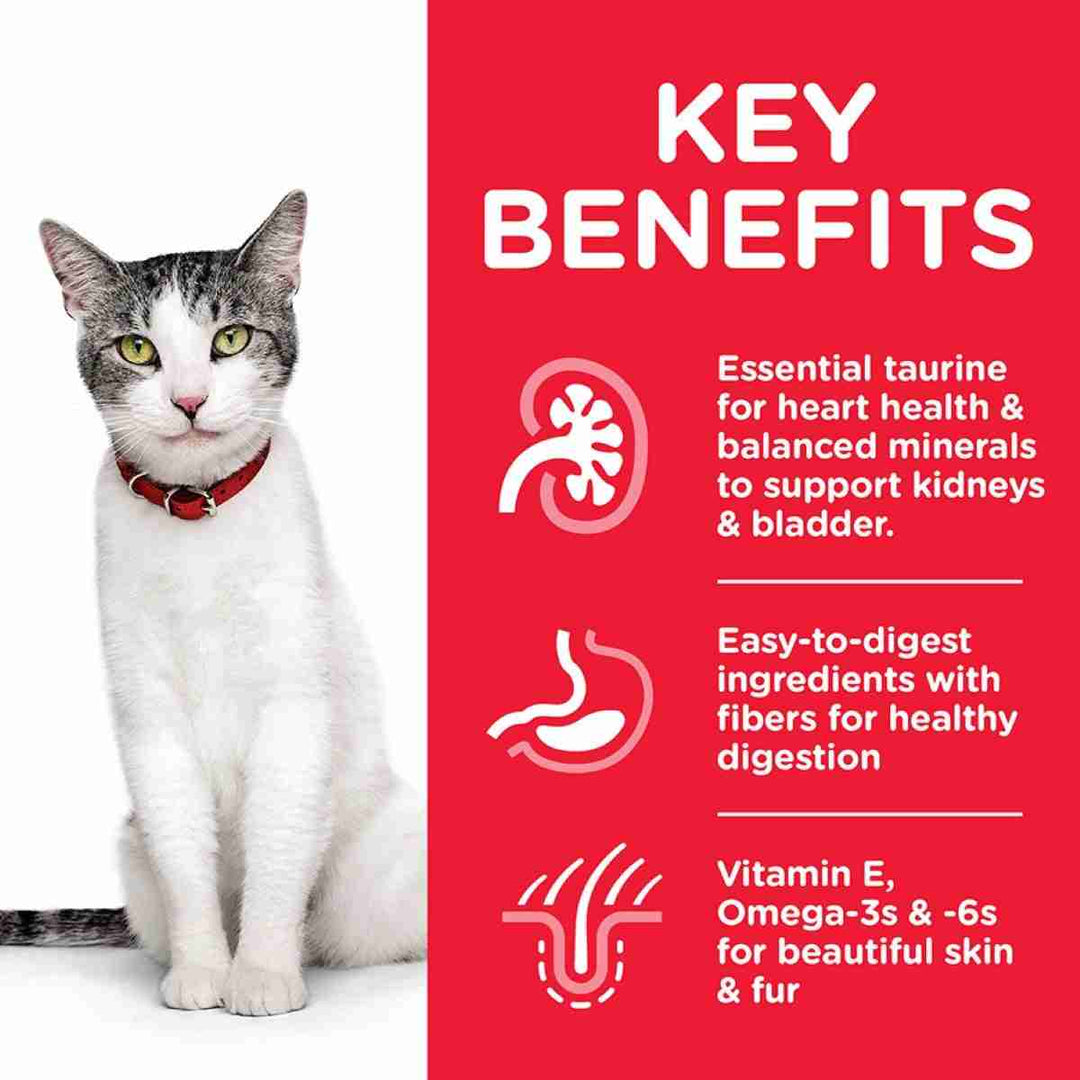 Science Plan 11+ cat formula