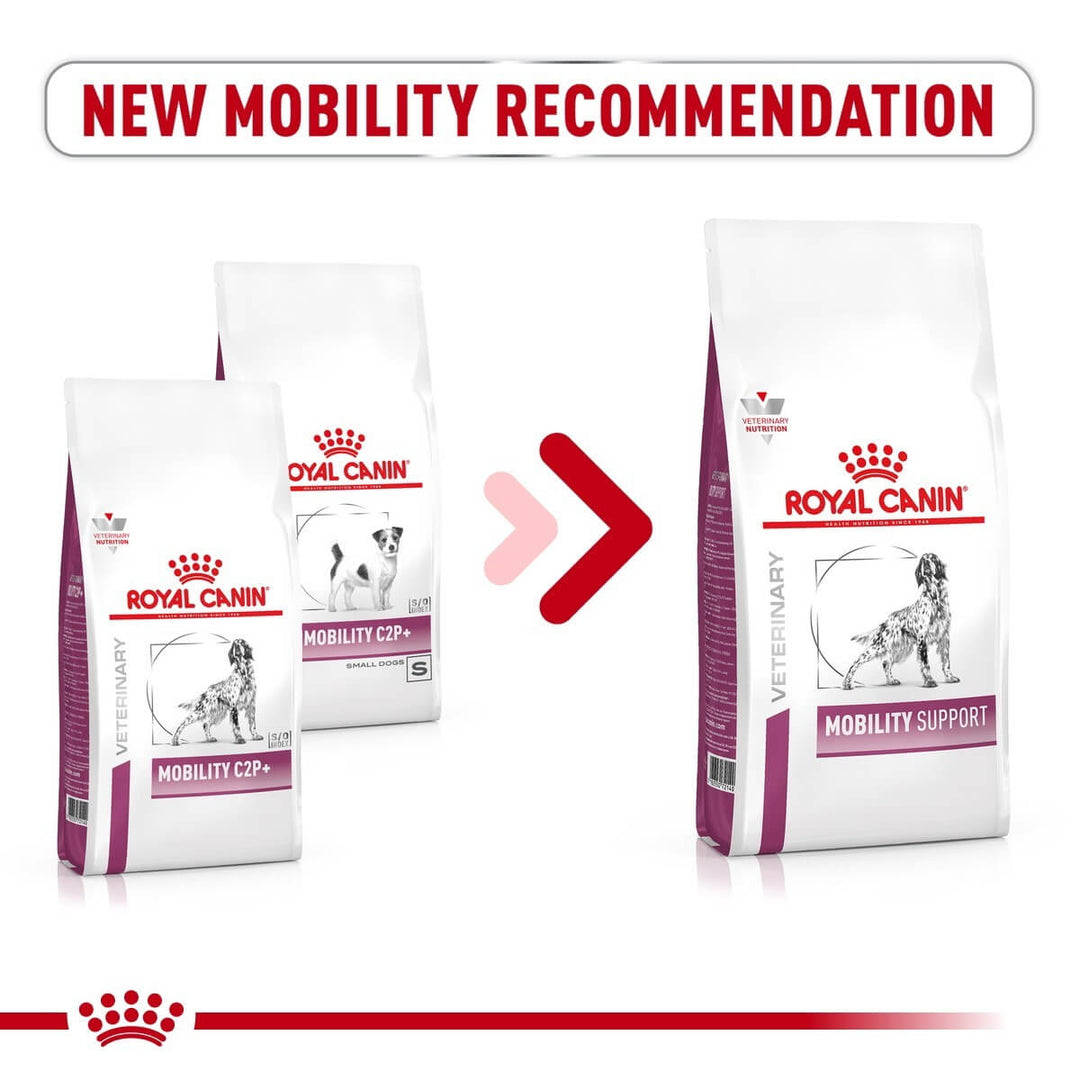 Royal Canin Mobility Support Dry Food for Dogs
