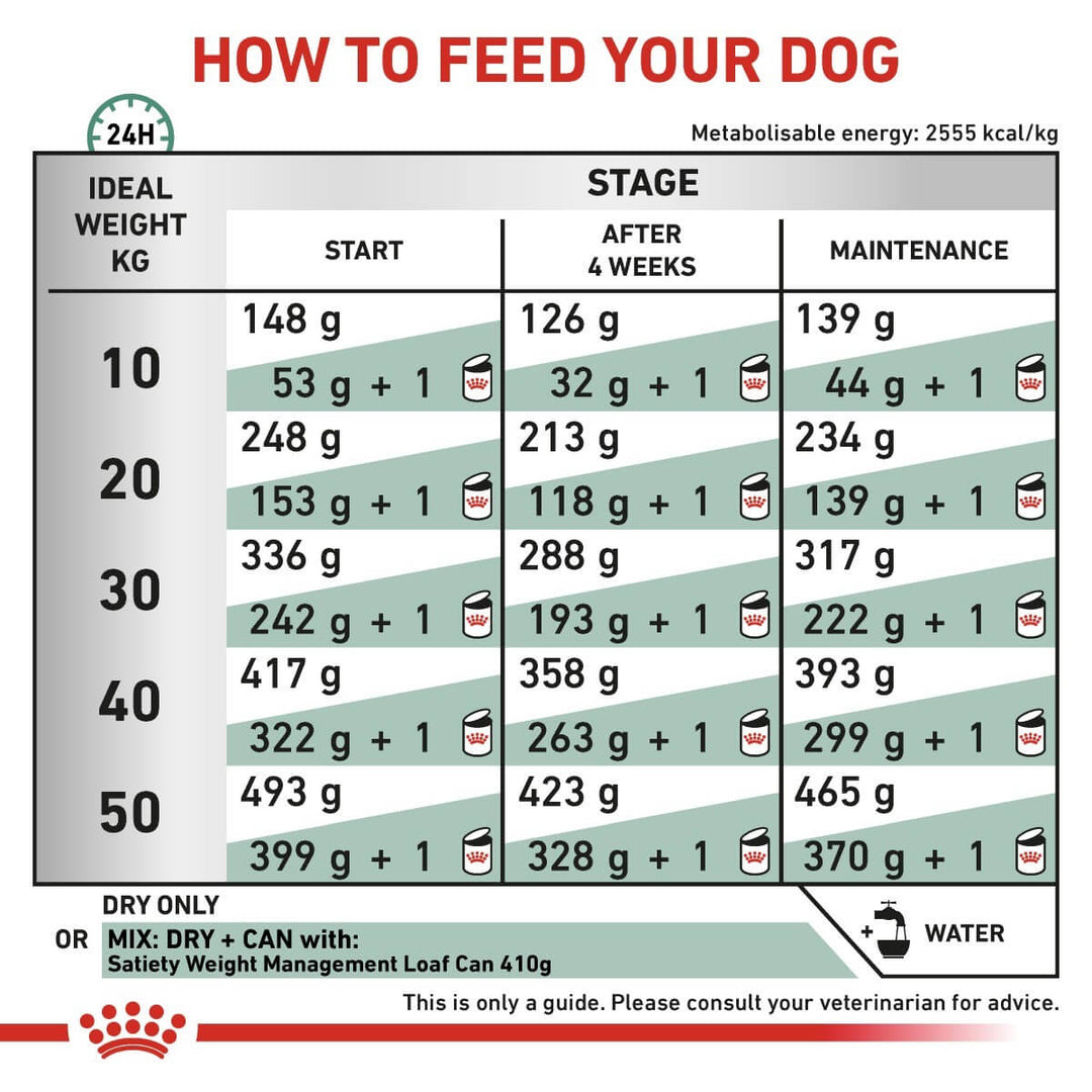 Dog feeding chart指导如何喂养您的狗