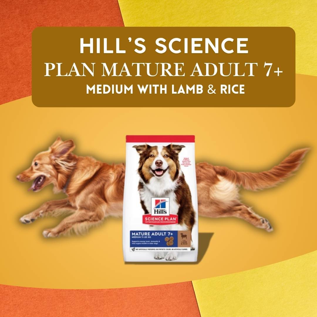 Hill’s Science Plan with Lamb & Rice