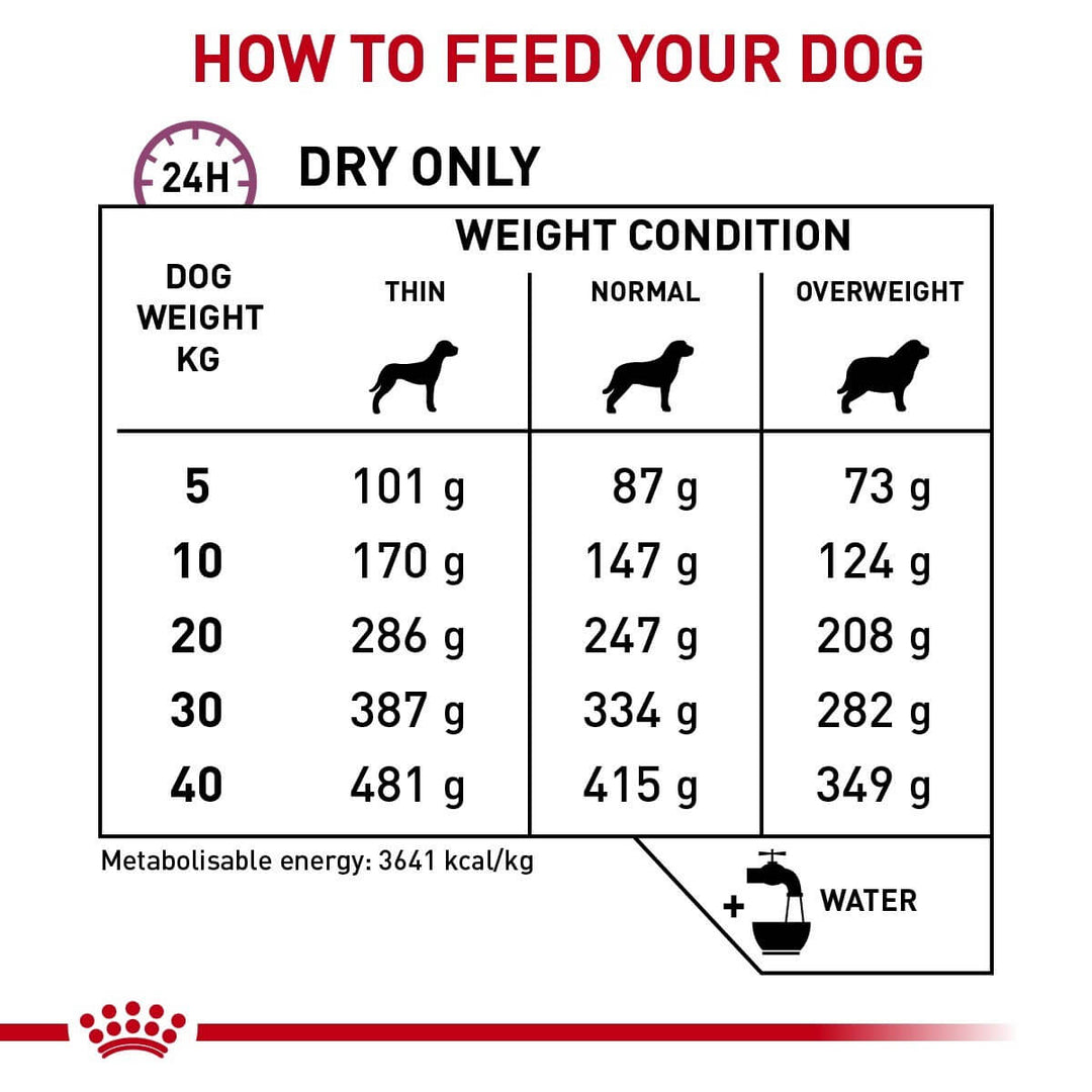 Royal Canin Mobility Support Dry Food for Dogs
