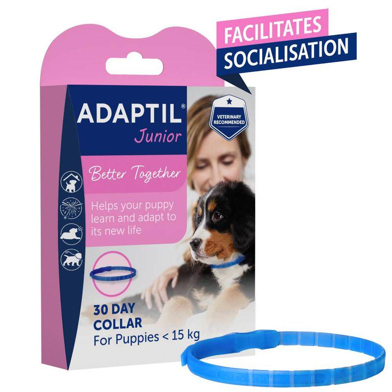 ADAPTIL® Junior Collar