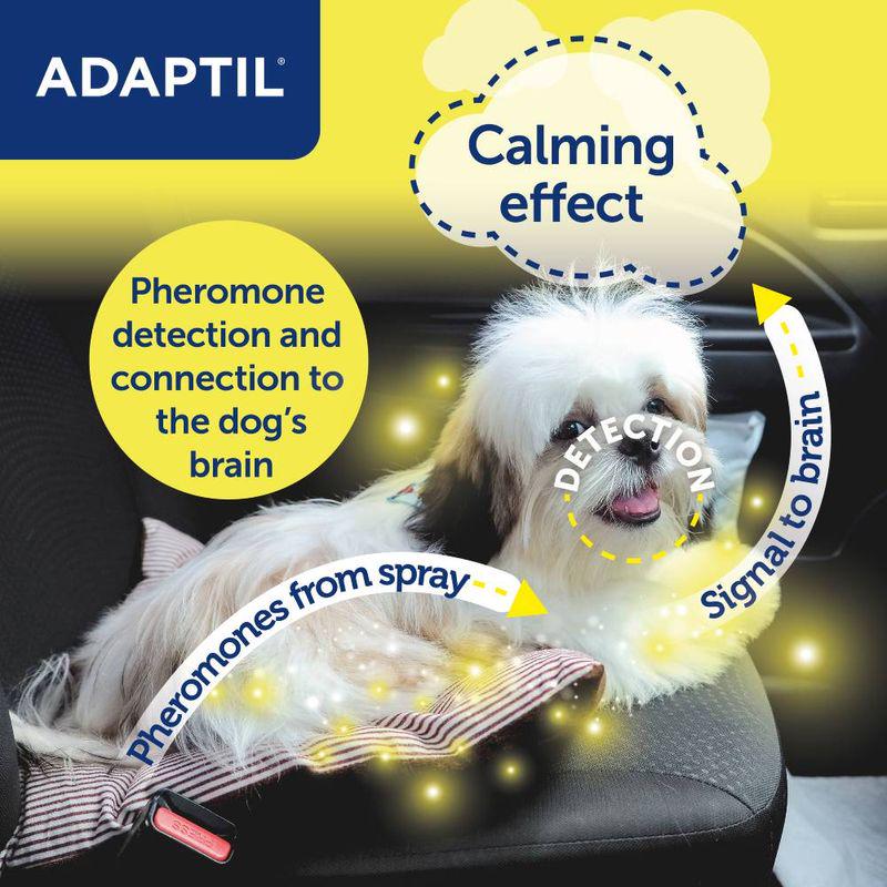 ADAPTIL® Transport Spray