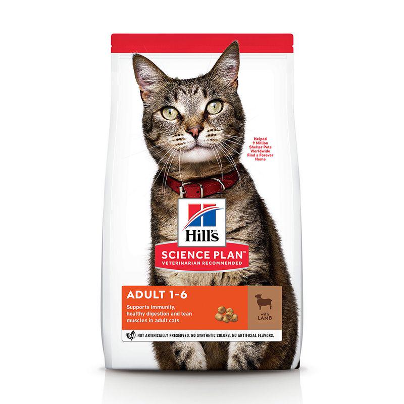 Adult cat lamb food