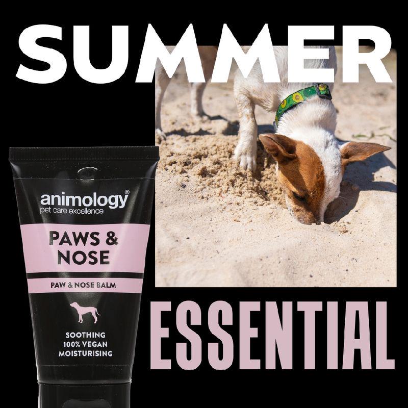 Animology Paws and Nose Balm