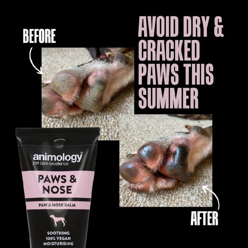 Animology Paws and Nose Balm