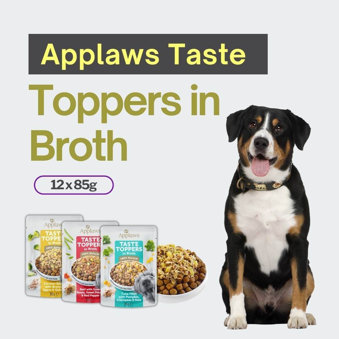 Dog with 'Applaws Taste Toppers in Broth' packaging and text on a light gray background