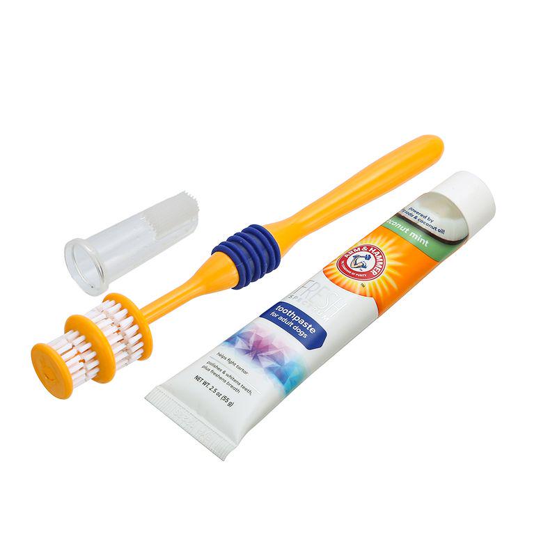 Arm and Hammer Dental Care Set with Toothbrush and Toothpaste